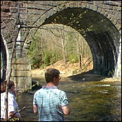 The double-arch bridge