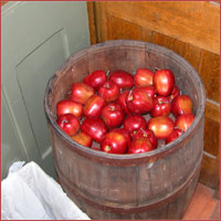 Apples on the trolley